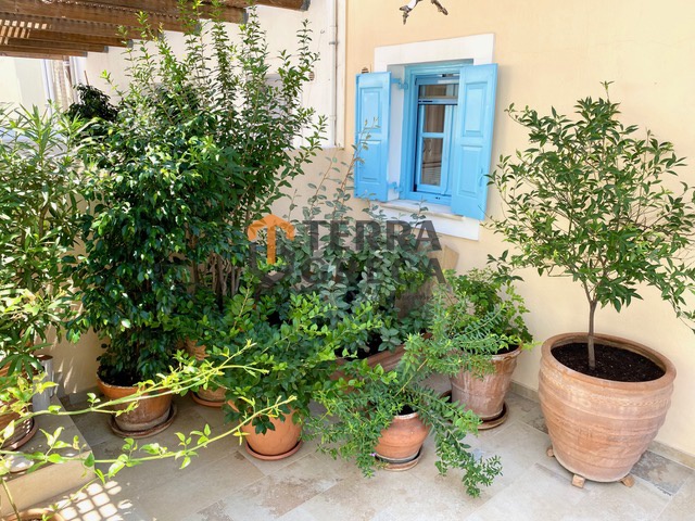 Φωτογραφία 21 από 22 — 2176280 — Maisonette for sale, Spetses, 175 sq m, €800,000