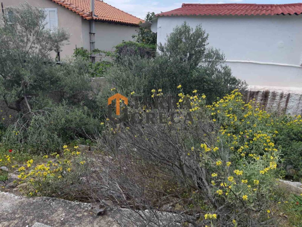 Φωτογραφία 3 από 8 — 1375781 — Parcel for sale, Marathonas, 282 sq m, €20,000