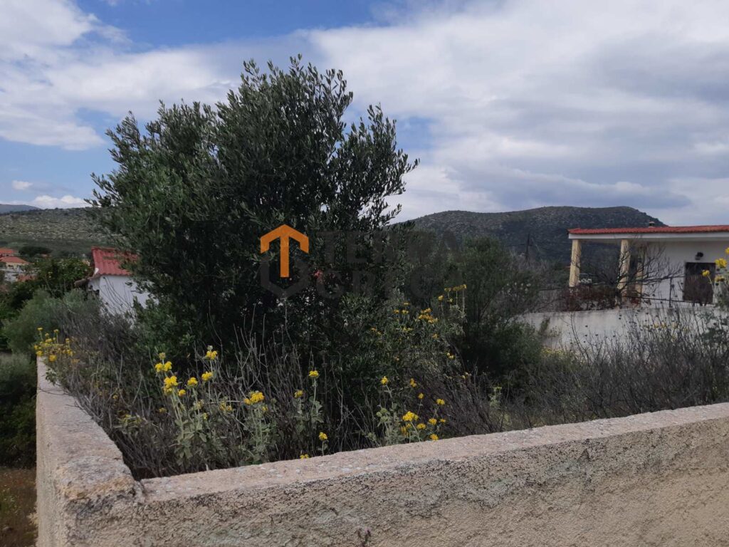 Φωτογραφία 5 από 8 — 1375781 — Parcel for sale, Marathonas, 282 sq m, €20,000