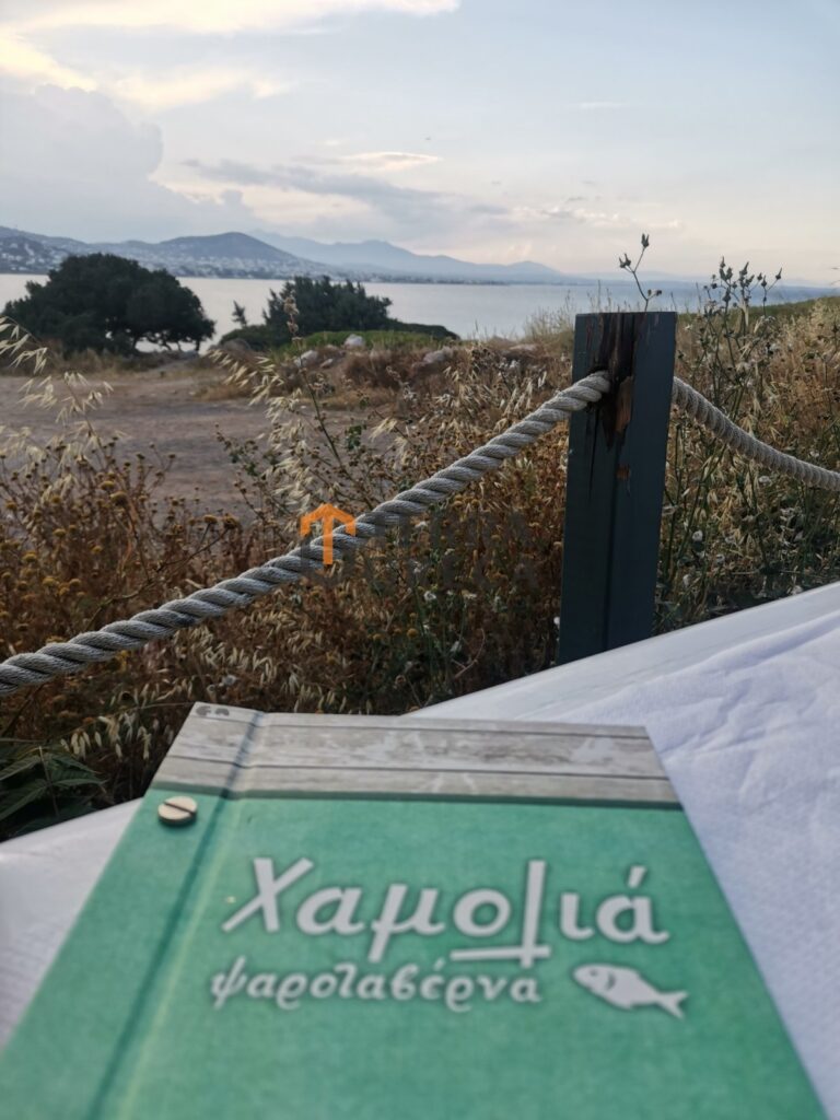 Φωτογραφία 5 από 17 — 1104315 — ΠΑΡΑΛΙΑΚΟ Οικόπεδο Προς Πώληση, Χαμολιά, €550.000
