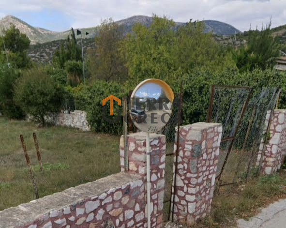 Φωτογραφία 2 από 2 — 1834640 — Οικόπεδο Προς Ενοικίαση, Κορωπί, 850 τ.μ., €2.500
