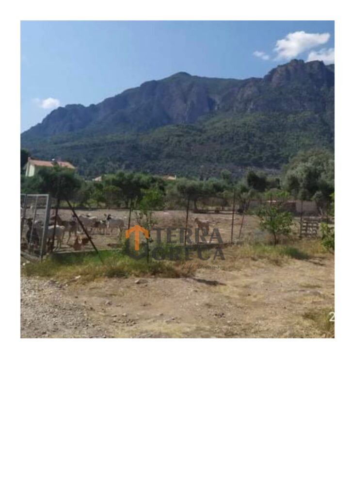 Φωτογραφία 4 από 4 — 1104325 — Οικόπεδο Προς Πώληση, Διακοπτό, 1.400 τ.μ., €95.000