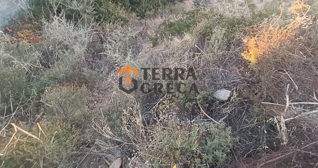 Φωτογραφία 2 από 15 — 13303490/90020 — Land plot for sale, Nea Makri, 1.033 sq m, €150,000