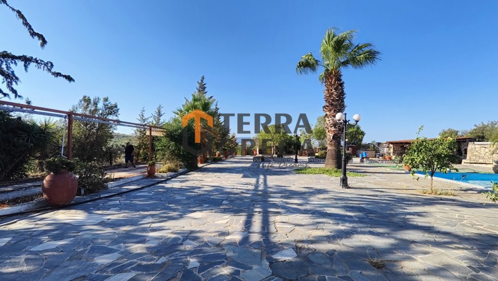 Φωτογραφία 18 από 29 — 395578 — Αίθουσα Προς Πώληση, Σπάτα, 5.000 τ.μ., €1.000.000