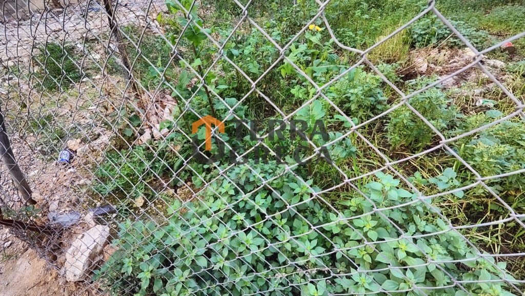 Φωτογραφία 8 από 24 — 544499 — Οικόπεδο Προς Πώληση, Μαραθώνας, 710 τ.μ., €80.000