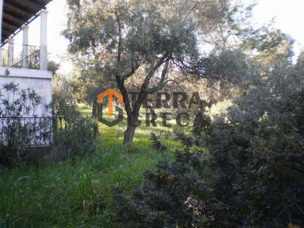 Φωτογραφία 13 από 18 — 13841968/1060022 — Μεζονέτα Προς Πώληση, Ανθηδώνος, 94 τ.μ., €253.000
