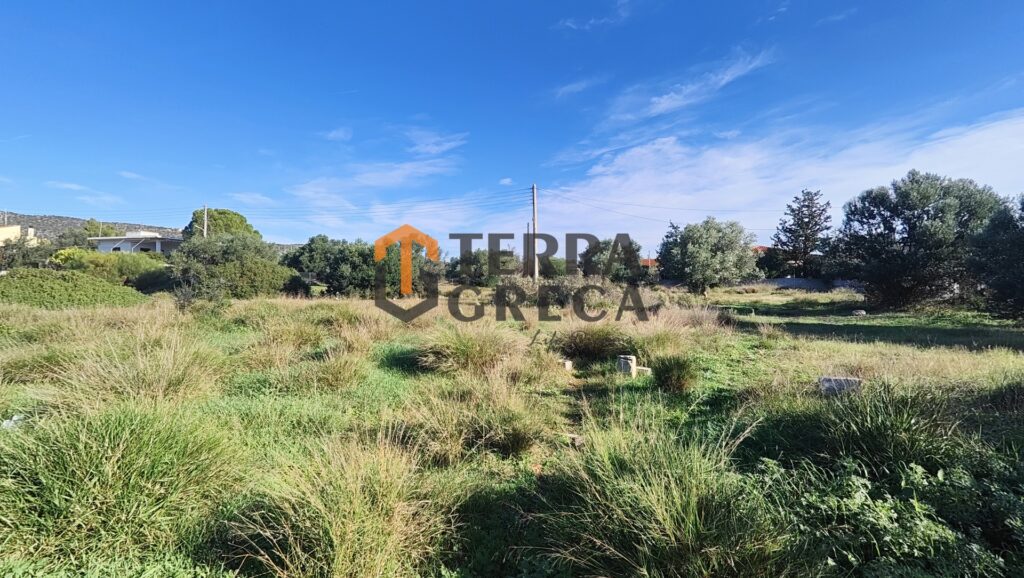 Φωτογραφία 2 από 28 — 639032 — Οικόπεδο Προς Πώληση, Μαρκόπουλο, 660 τ.μ., €95.000