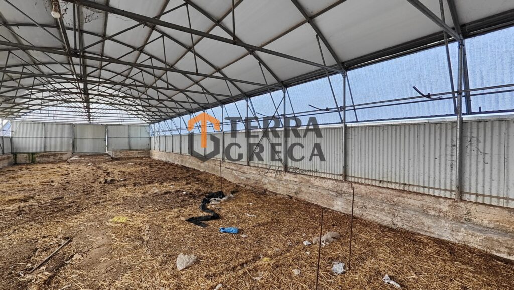 Φωτογραφία 11 από 25 — 13690953/90116 — Οικόπεδο με Αποθήκες Προς Πώληση, Κορωπί, Αποθ: 600 τμ, Οικοπ: 13.580τμ, €700.000