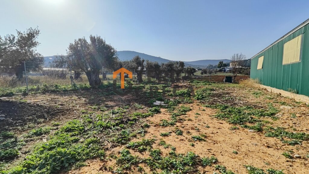 Φωτογραφία 21 από 25 — 13690833/90115 — Κτήριο επαγγελματικών χώρων Προς Πώληση, Κορωπί, 477 τ.μ., €650.000