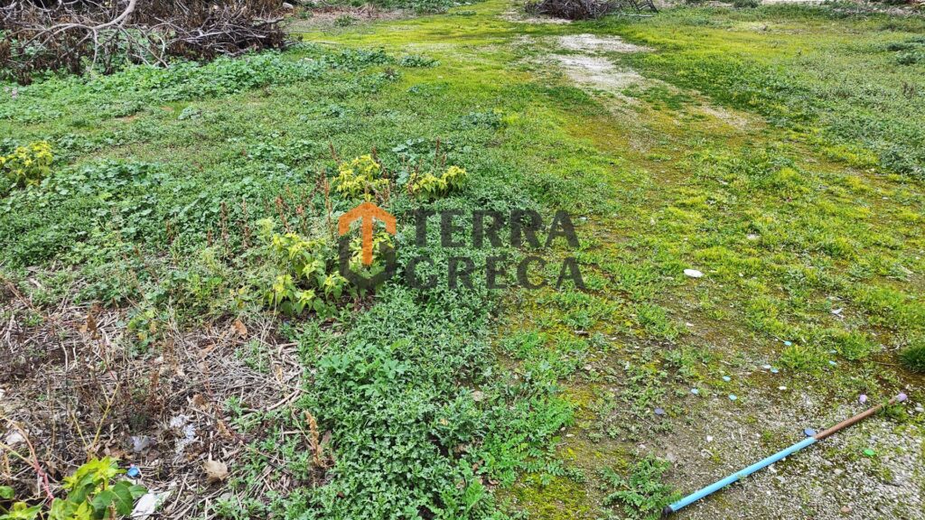 Φωτογραφία 23 από 24 — 501874 — Land plot for sale, Pikermi, 525 sq m, €75,000