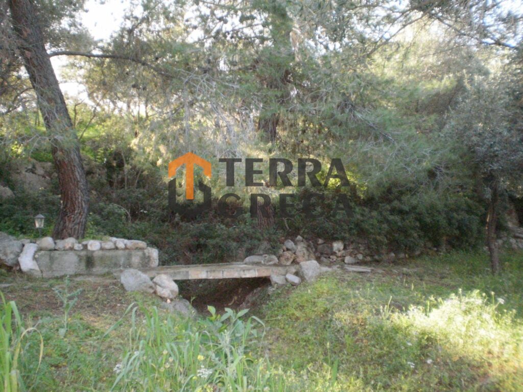 Φωτογραφία 14 από 18 — 13841968/1060022 — Μεζονέτα Προς Πώληση, Ανθηδώνος, 94 τ.μ., €253.000