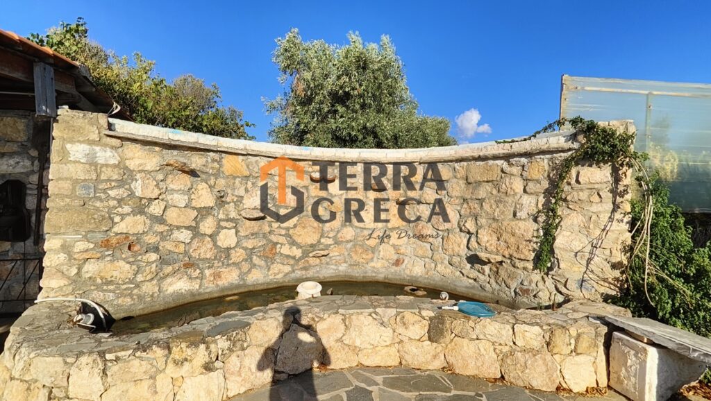 Φωτογραφία 13 από 29 — 395578 — Αίθουσα Προς Πώληση, Σπάτα, 5.000 τ.μ., €1.000.000