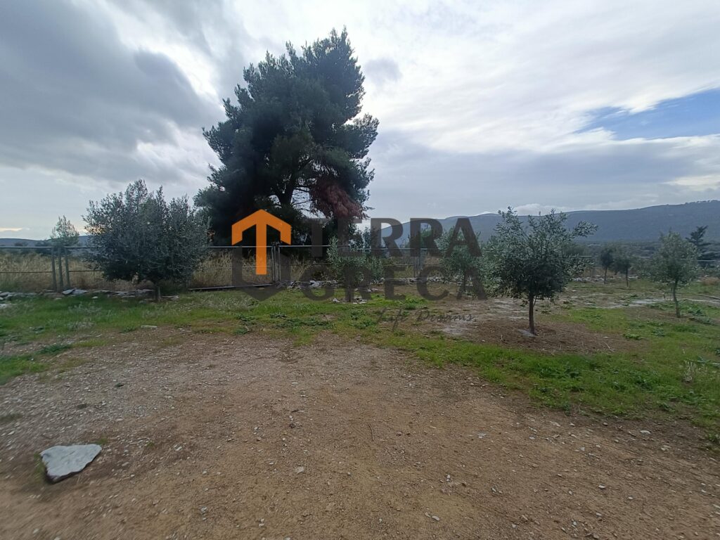 Φωτογραφία 14 από 25 — 13401914/90052 — Μεζονέτα Προς Πώληση, Μαραθώνας, 600 τ.μ., €450.000