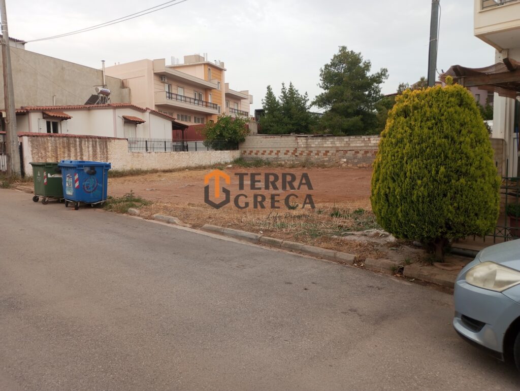 Φωτογραφία 3 από 6 — 956502 — Land plot for sale, Mandra, 650 sq m, €160,000