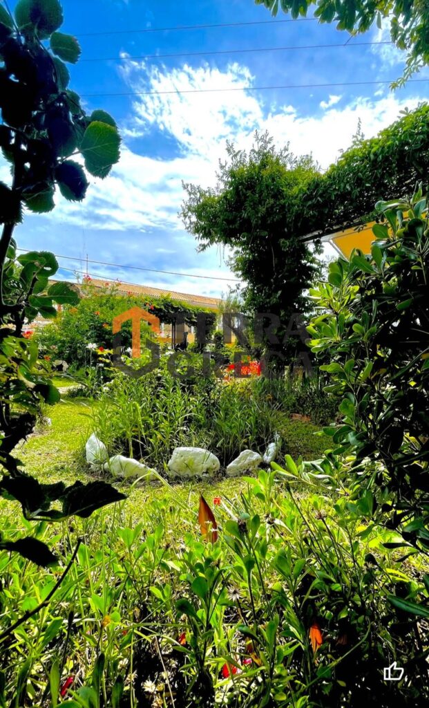 Φωτογραφία 3 από 23 — 646536 — Land plot for sale, Corfu, 6.250 sq m, €1,900,000