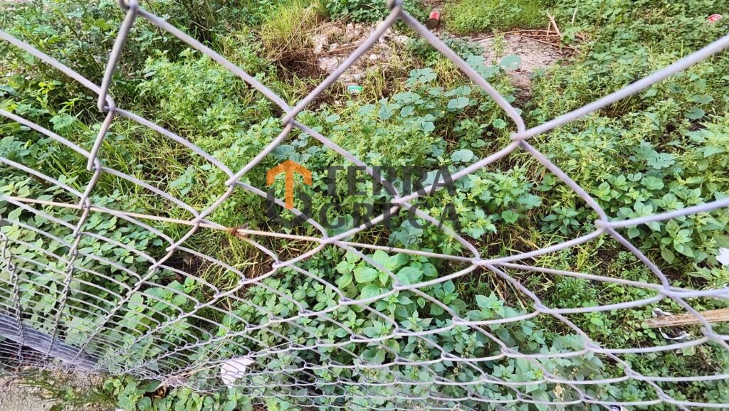Φωτογραφία 9 από 24 — 544499 — Οικόπεδο Προς Πώληση, Μαραθώνας, 710 τ.μ., €80.000
