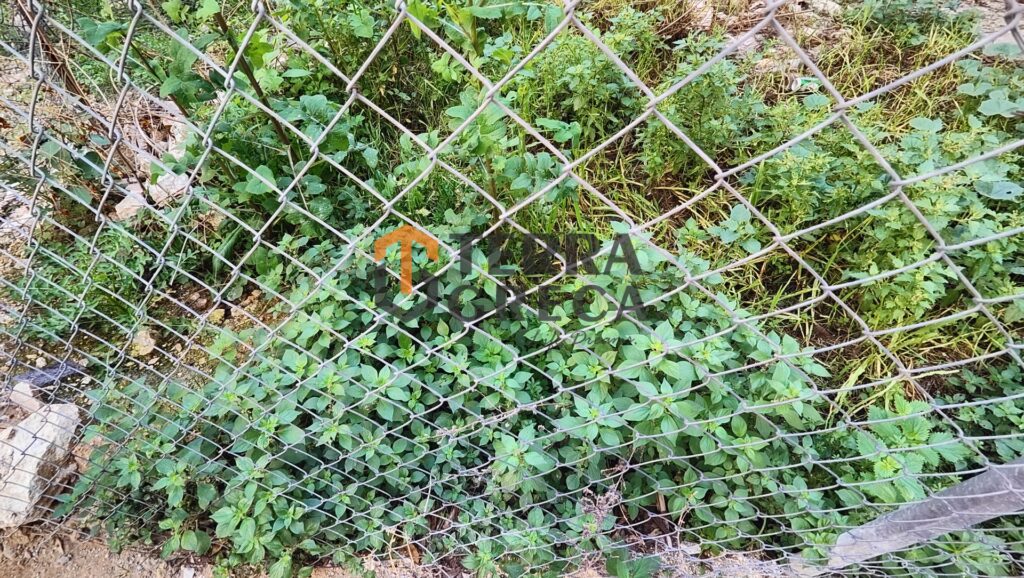 Φωτογραφία 4 από 24 — 603814 — Land plot for sale, Paiania, 240 sq m, €70,000
