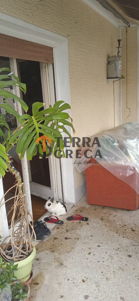 Φωτογραφία 3 από 22 — 312450 — Apartment for sale, Patision - Acharnon, 48 sq m, €95,000
